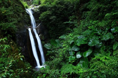 奧萬大國家森林遊樂區雙瀑