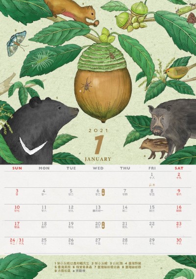 林務局2021「生命之森-種間關係」桌曆_1月