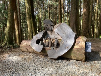 阿里山裝置藝術-每木調查