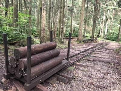 東眼山國家森林遊樂區知性步道-林業運材遺跡(林務局提供)