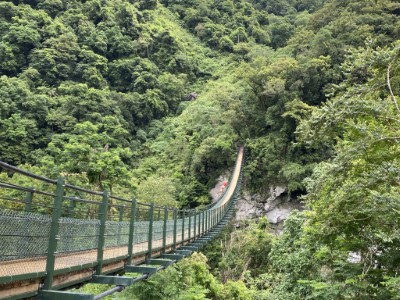 富源國家森林遊樂區：龍吟吊橋