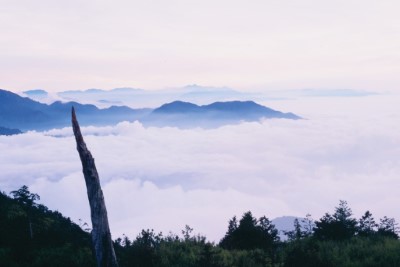 大雪山國家森林遊樂區雲海