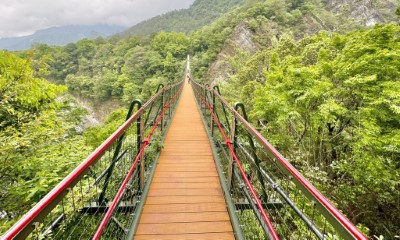 奧萬大國家森林遊樂區吊橋