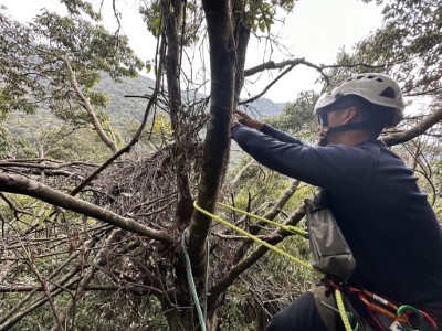 攀樹測量記錄熊窩