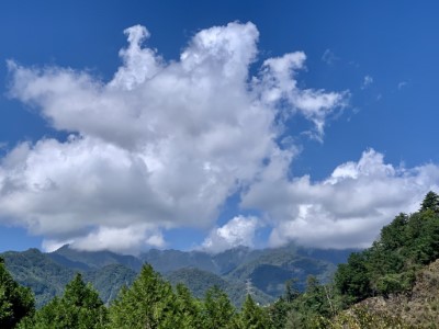 八仙山國家森林遊樂區景色