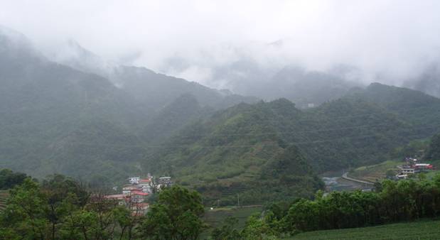 1013號墜石防止保安林