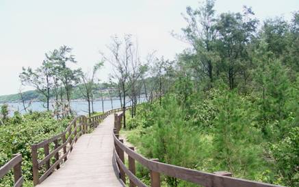 1015號飛砂防止保安林