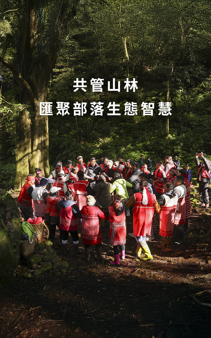 共管山林、匯聚部落生態智慧
