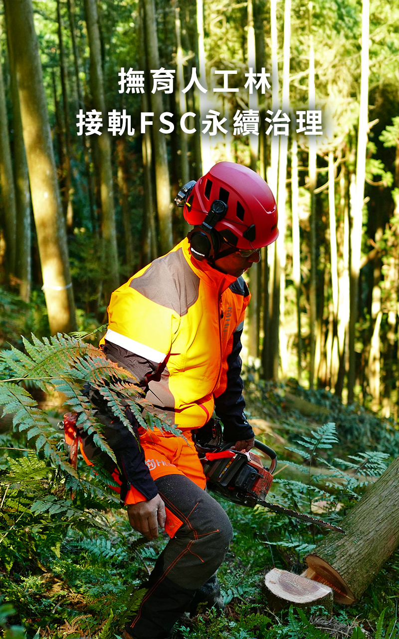 撫育人工林、接軌FSC永續治理