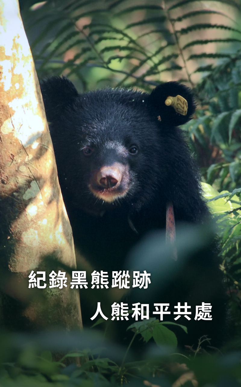 黑熊通報系統