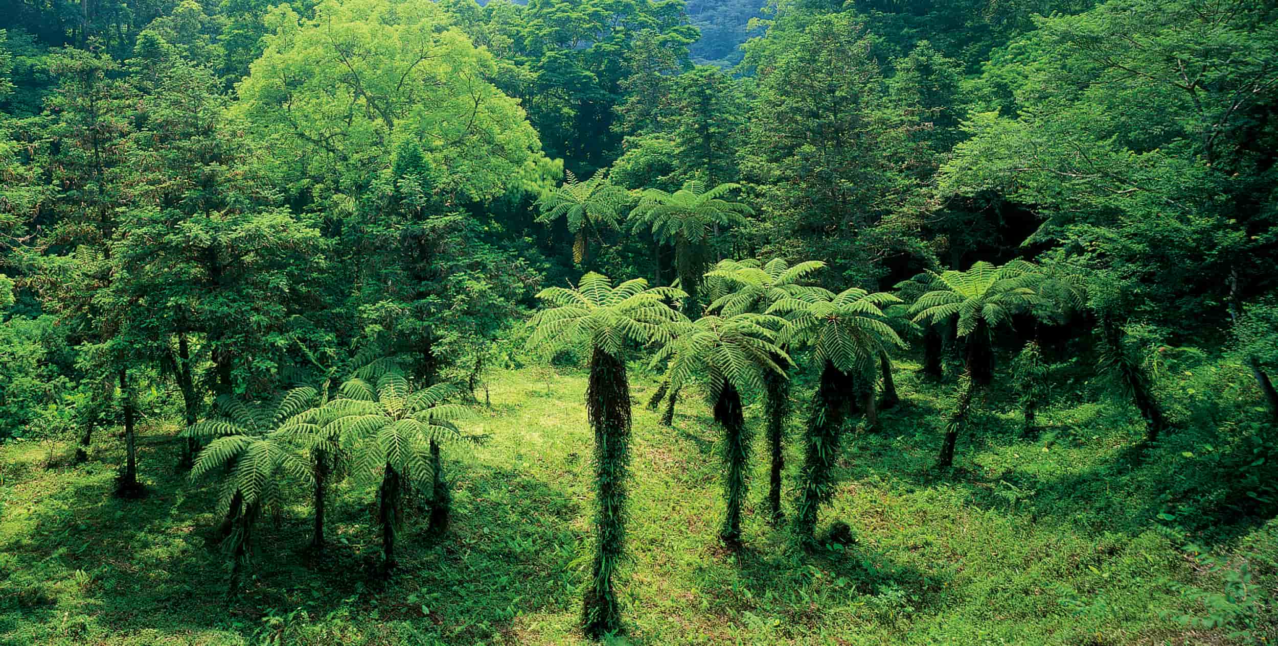 Taipingshan National Forest Recreation Area