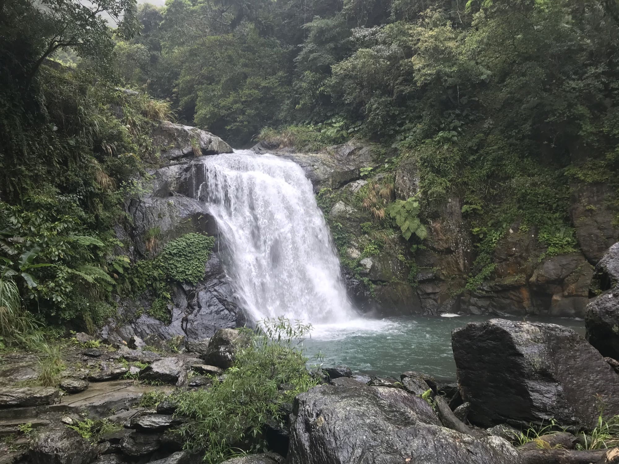Neidong National Forest Recreation Area