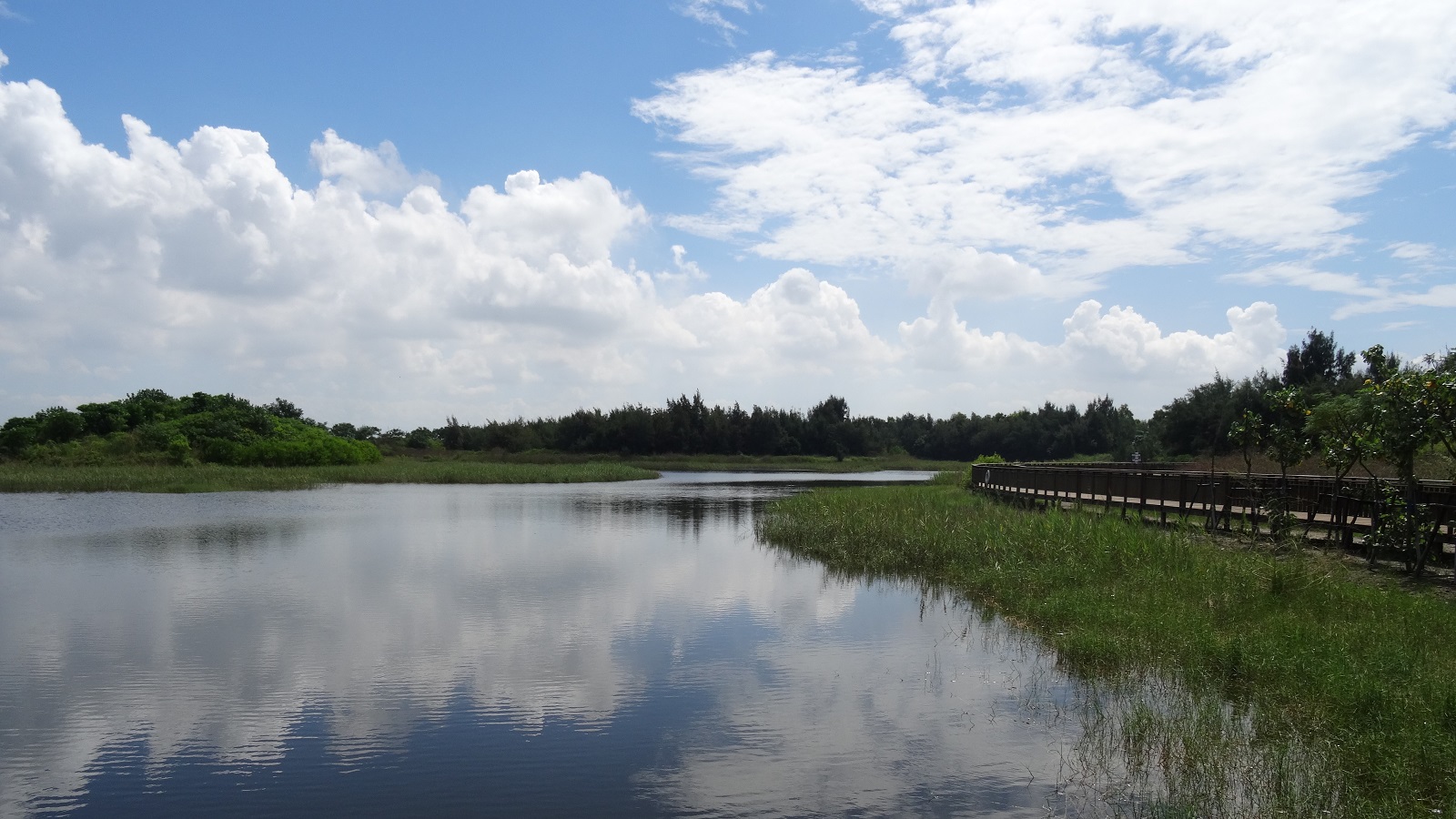 Aogu Wetland Forest Park