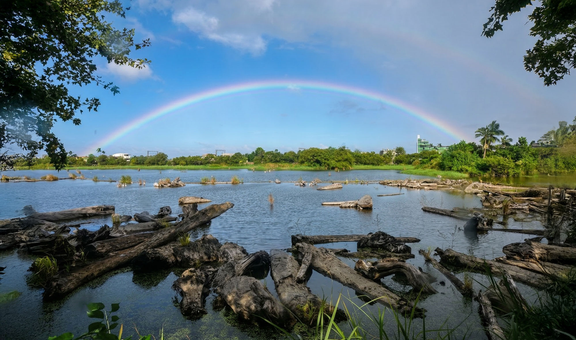 羅東林業文化園區
