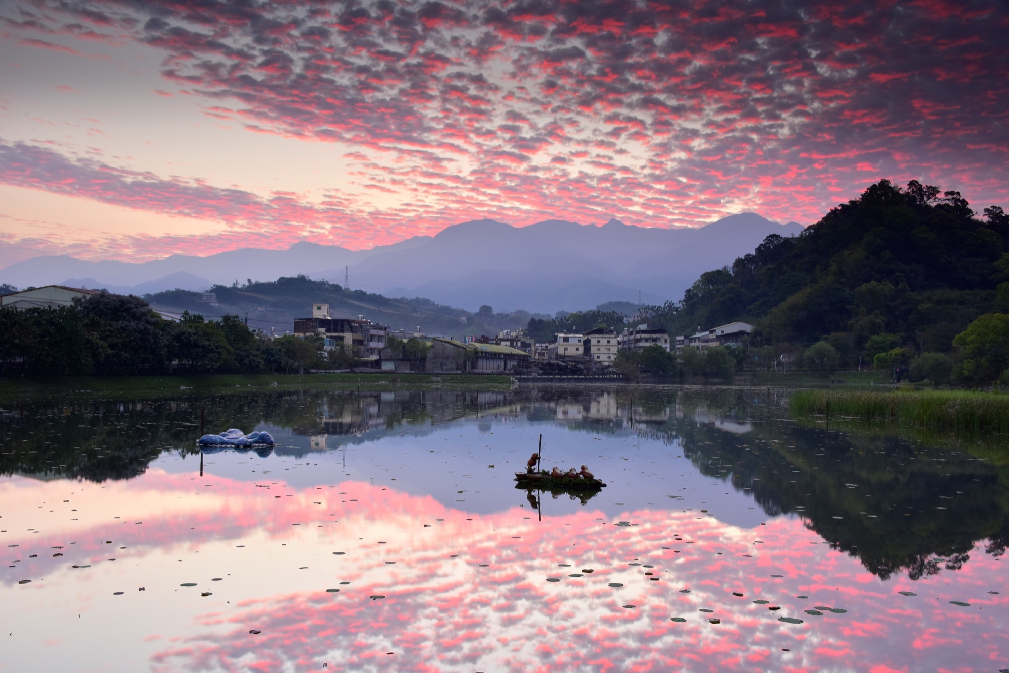 Dongshih Forestry Culture Park