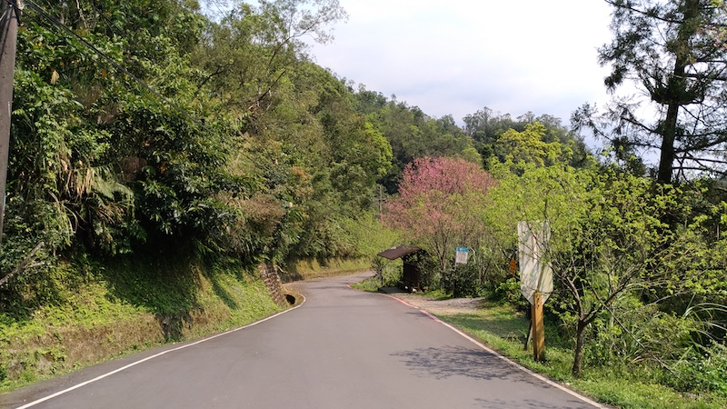 Jingualiao Stream Fish and Fern Trail