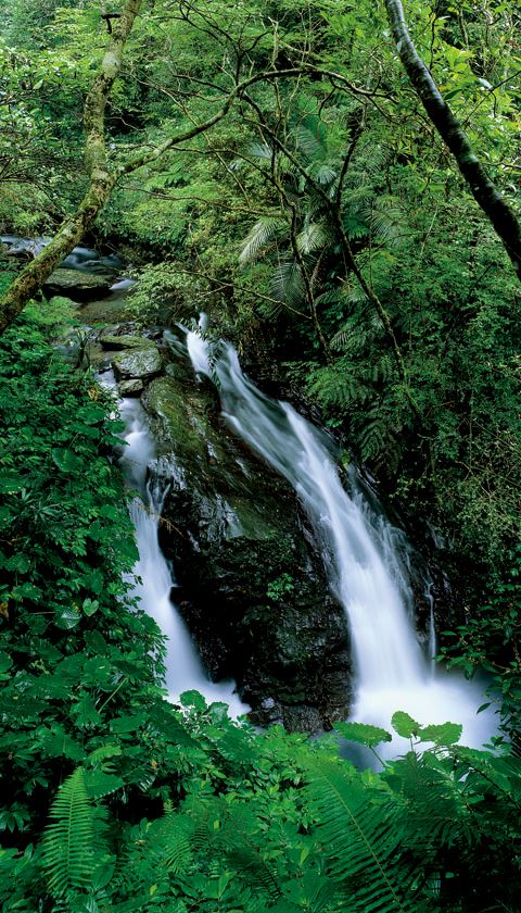 Linmei Shihpan Trail