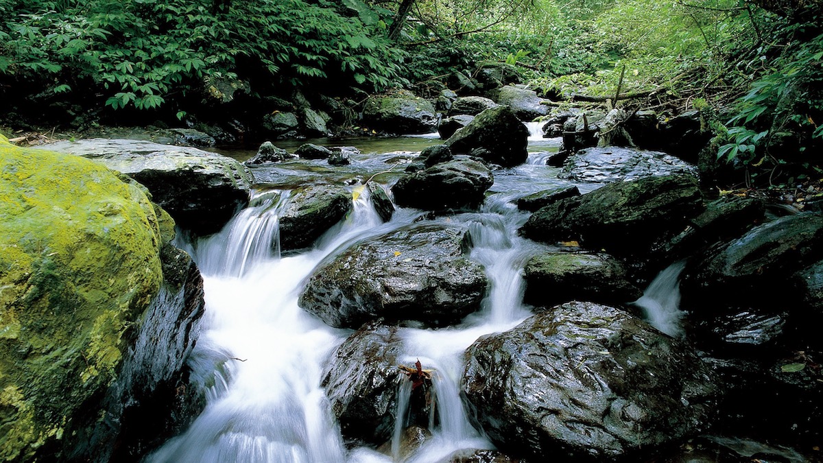 Linmei Shihpan Trail