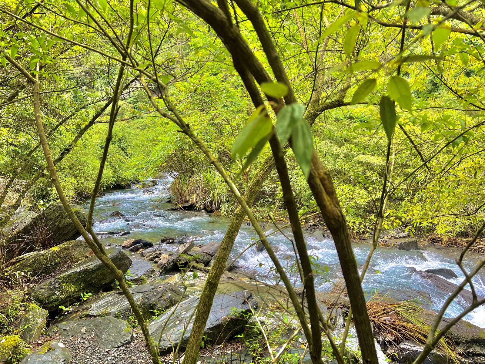 Sinliao Waterfall Trail