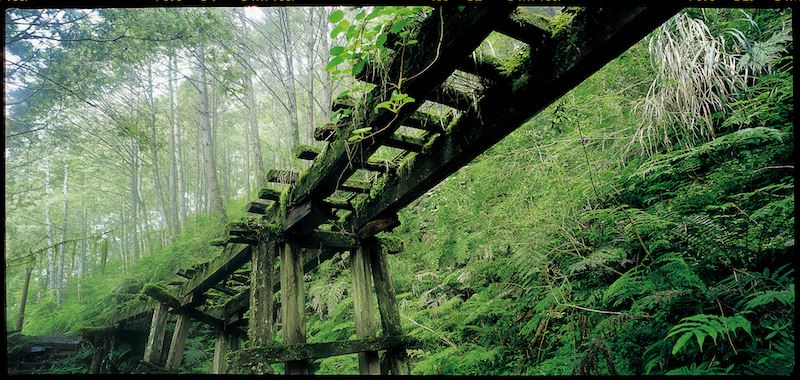 Maosing Reminiscent Trail