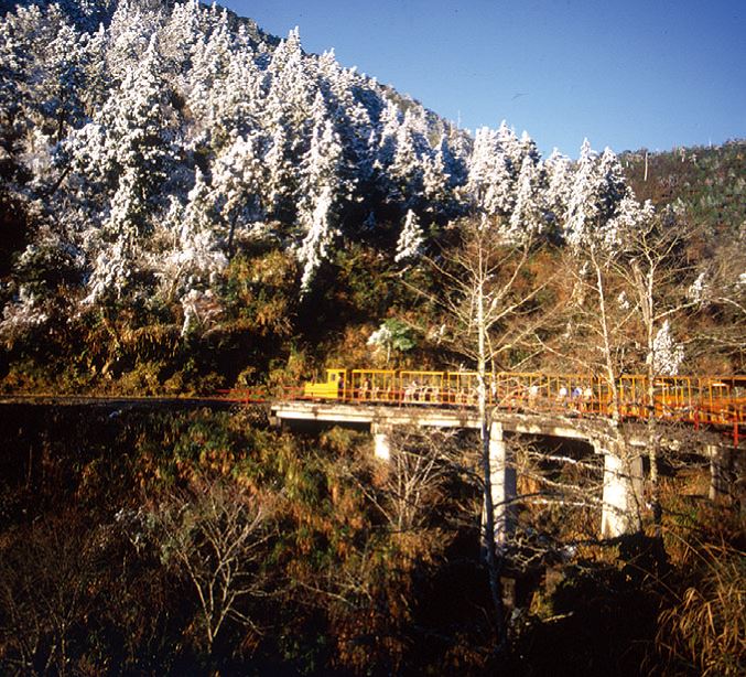 Maosing Reminiscent Trail