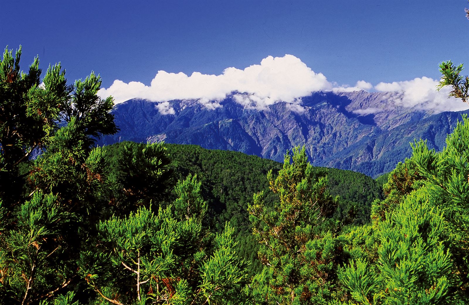 Maosing Reminiscent Trail