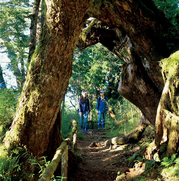 Taiwan Hemlock Nature Trail