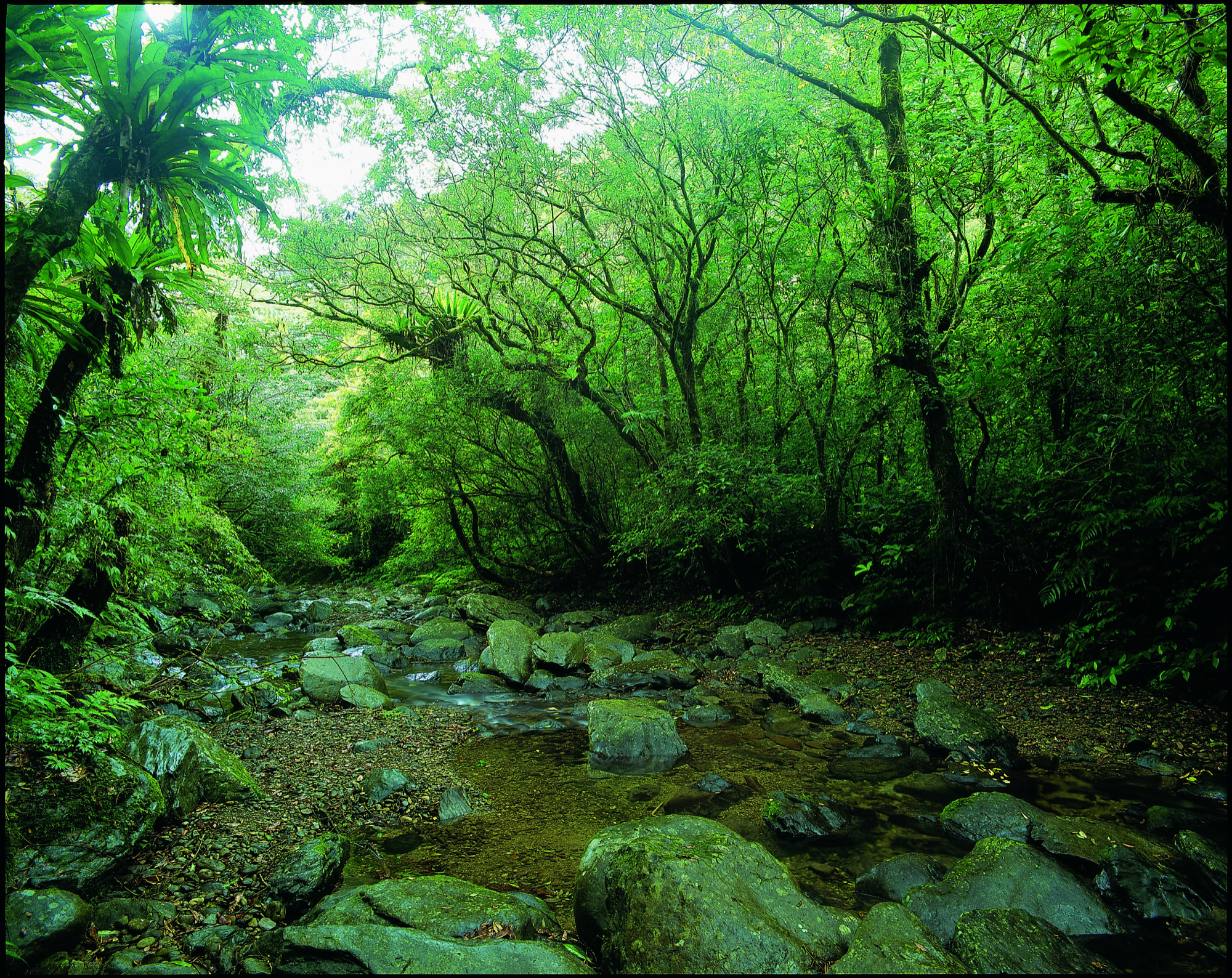 Tonghouyueling Trail