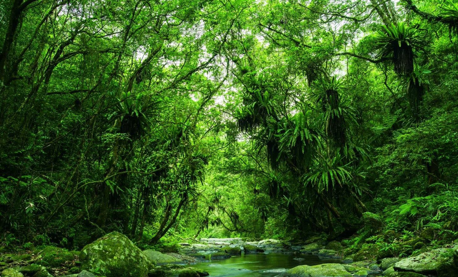 Hapen Cross Mountain Trail