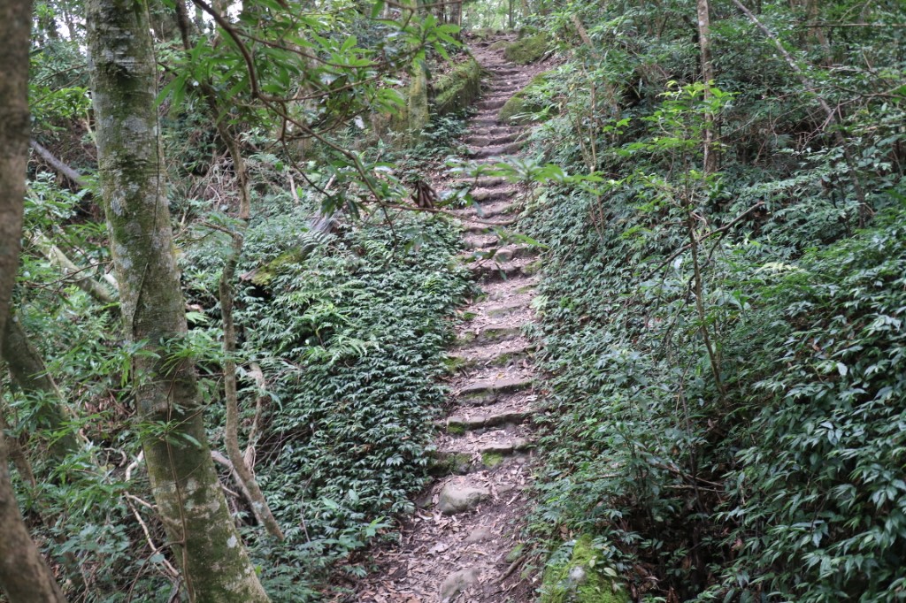 Mt. Wuzhi Summit Trail