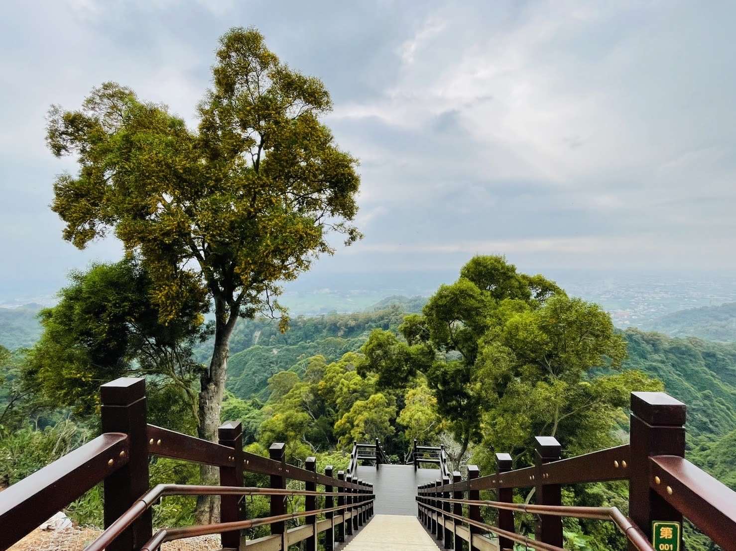 Qingshuiyan Trails (Zhongyanling, Erzhanping, 18-turn)