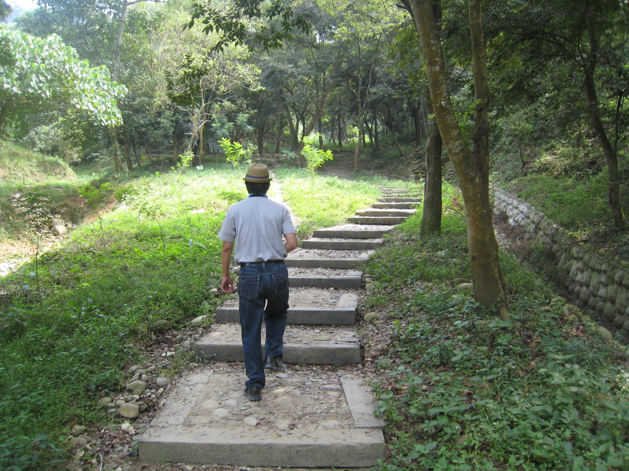 Qingshuiyan Trails (Zhongyanling, Erzhanping, 18-turn)