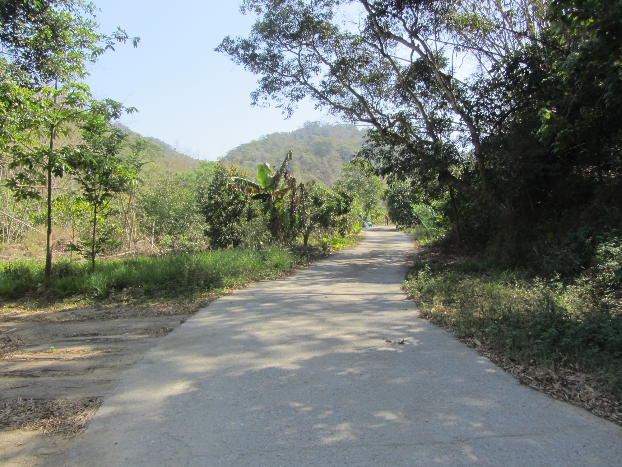 Kengneikeng Forest Trail