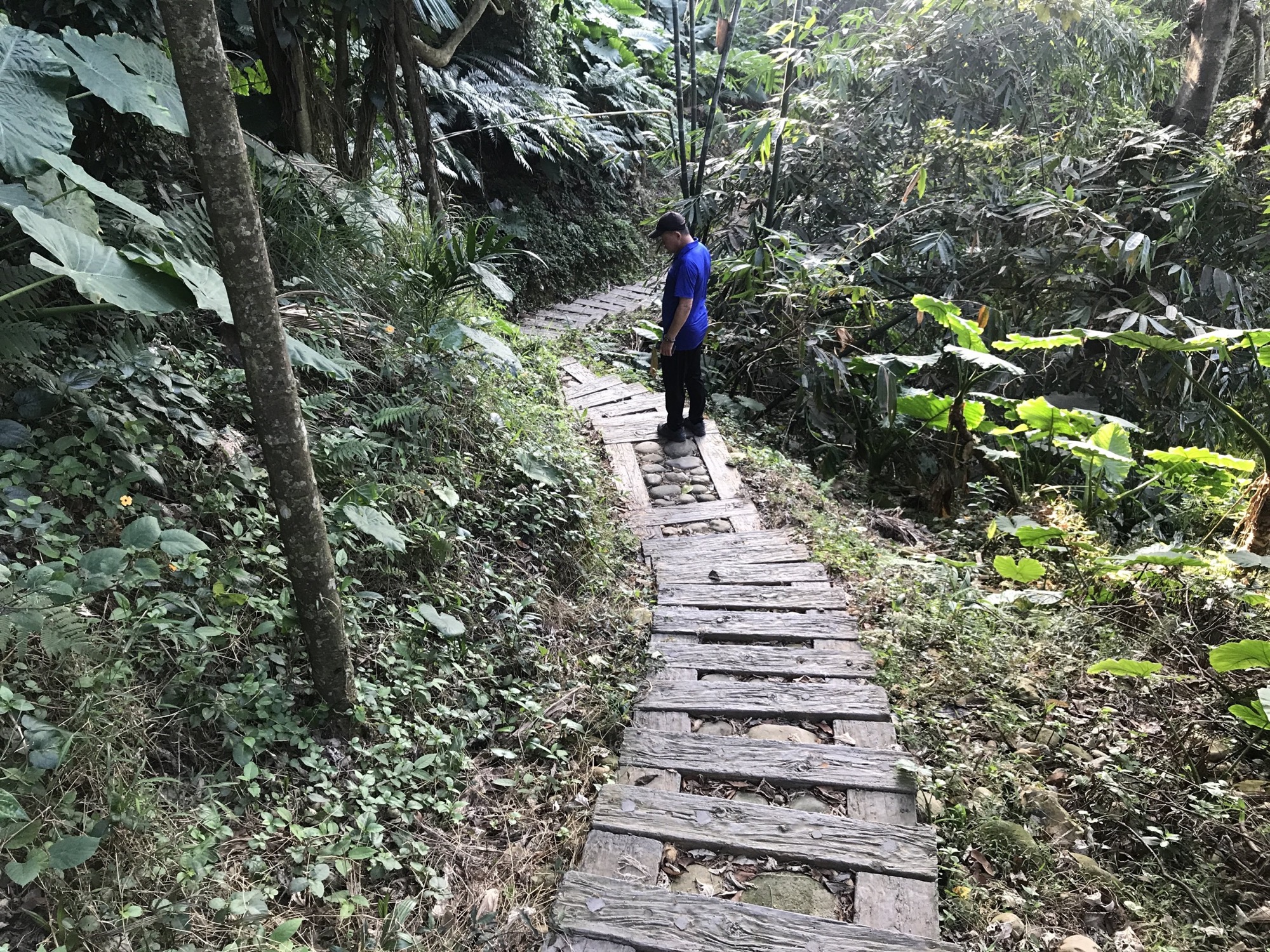 Kengneikeng Forest Trail