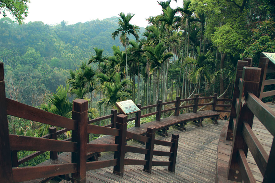 Kengneikeng Forest Trail