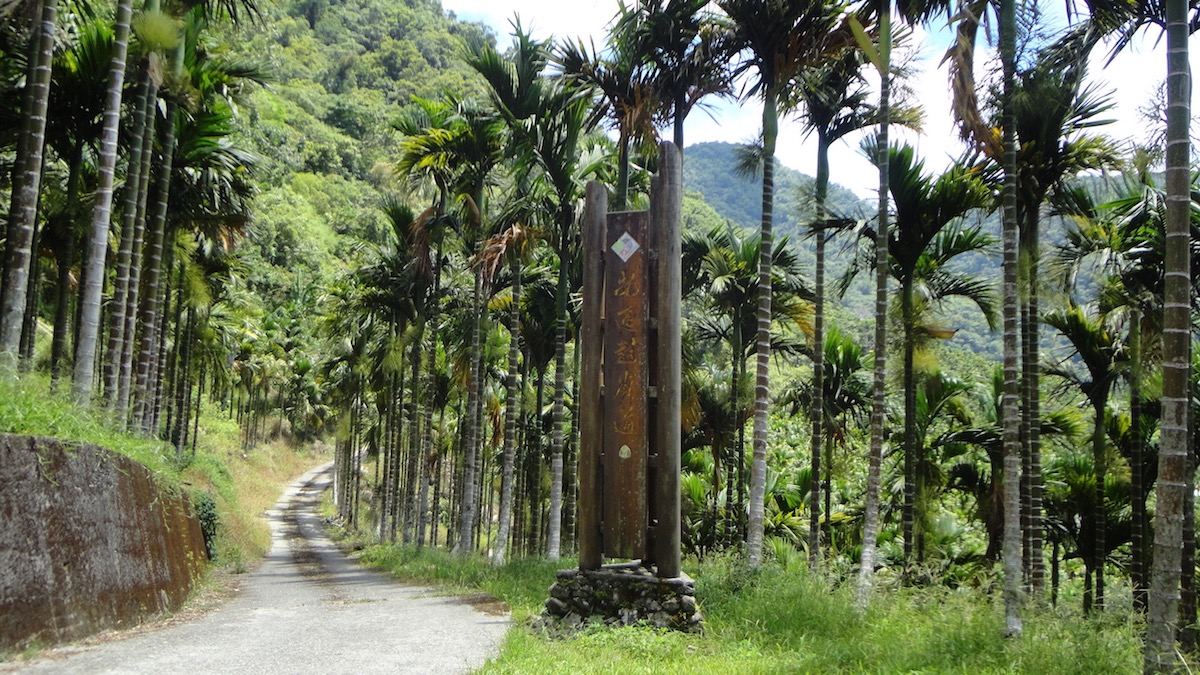 Antong Traversing Trail (West Section)