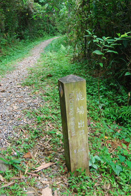 Hu Tou Shan Trails