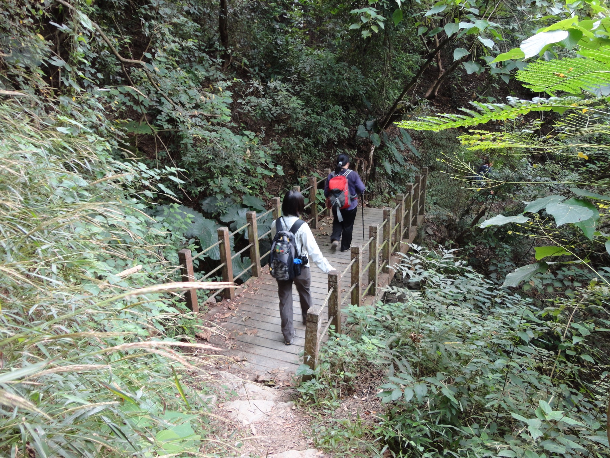 Jinshuiying Ancient Trail (Forepart)