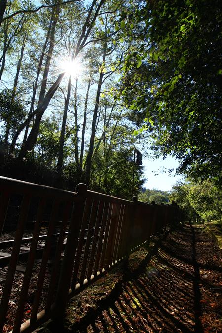 步道剪影-陽光灑落