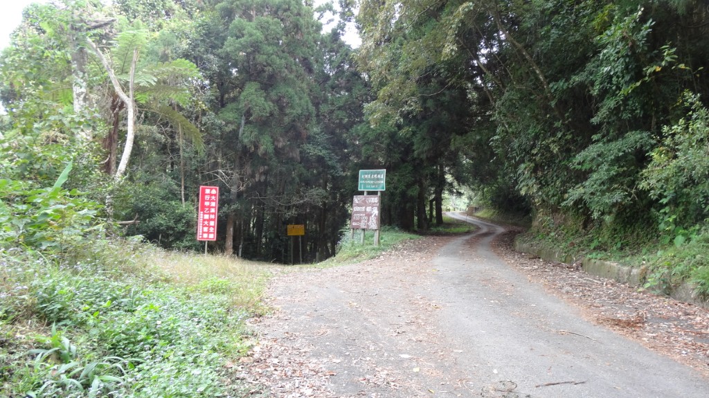 大湖溪林道岔路口