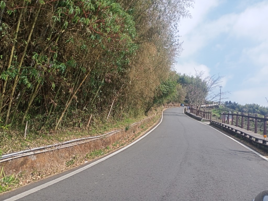 焙仔桶林道沿線風景