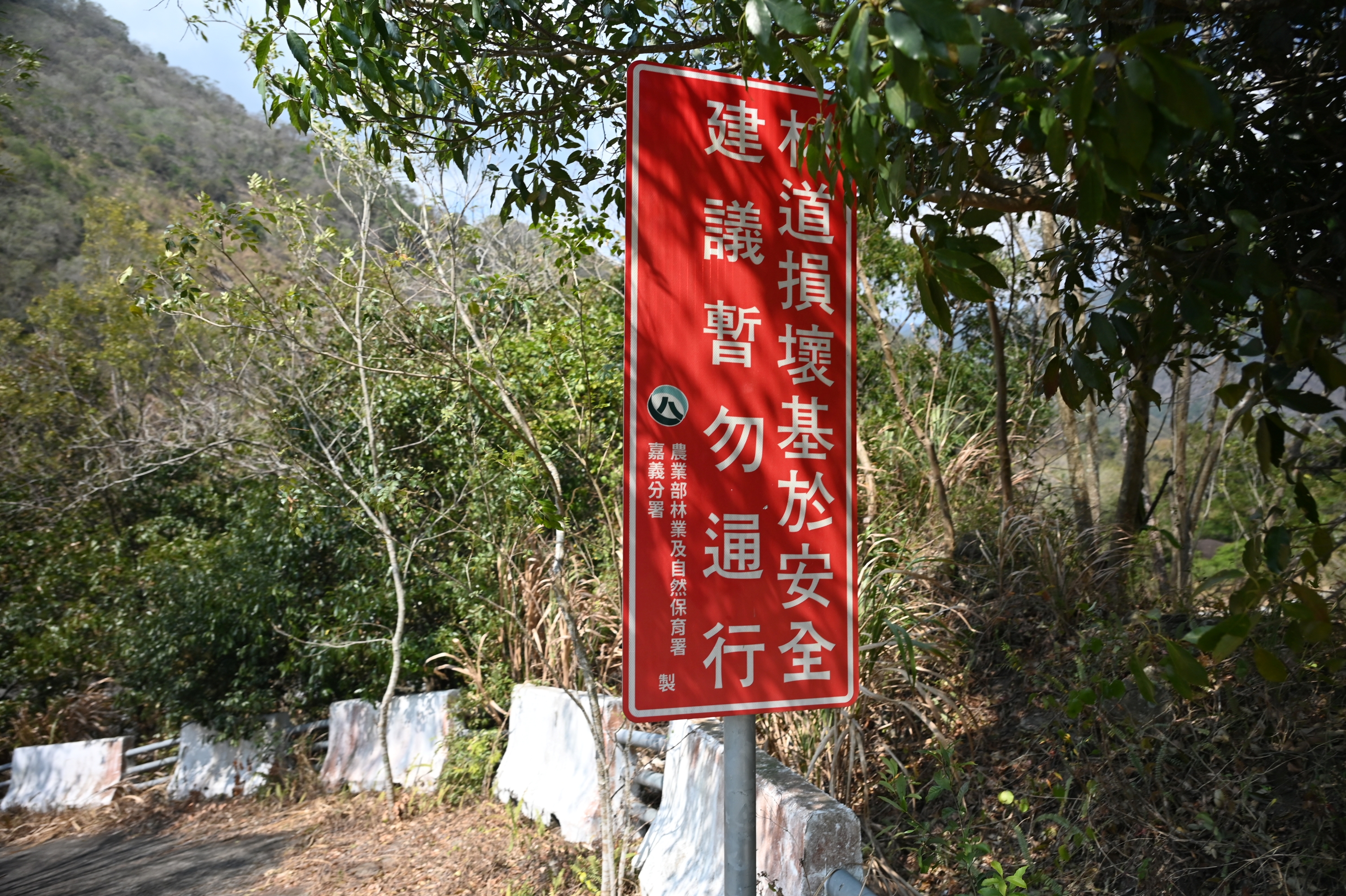 林道因莫拉克颱風災害嚴重受損，基於安全建議暫勿進入以免發生危險 