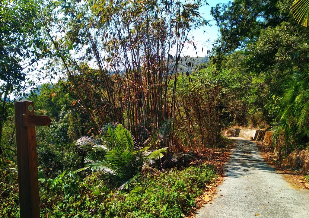 瀨頭林道沿線指標