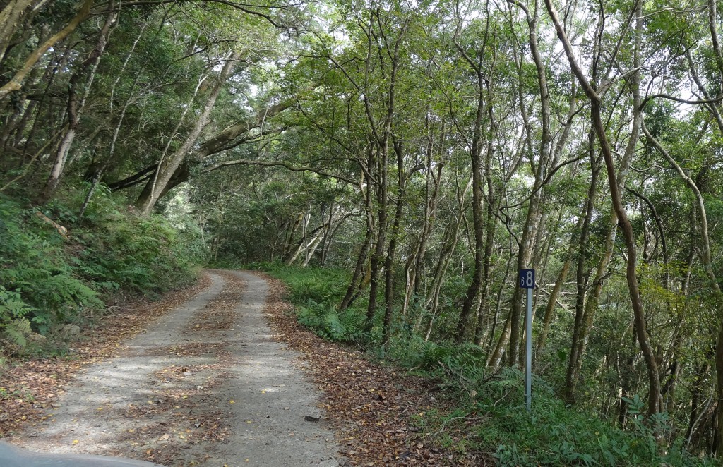 美瓏山林道