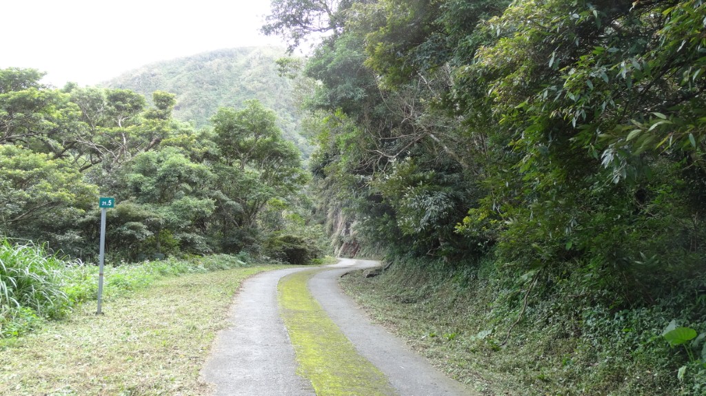 大漢林道21.5K