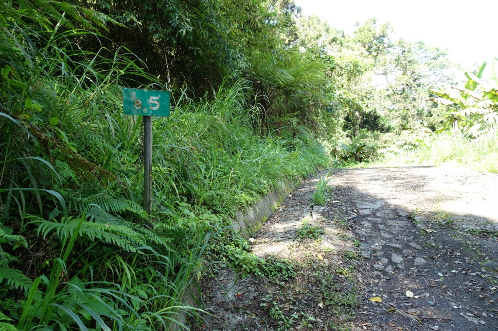 西林林道8.4K處進入林田山事業區50林班