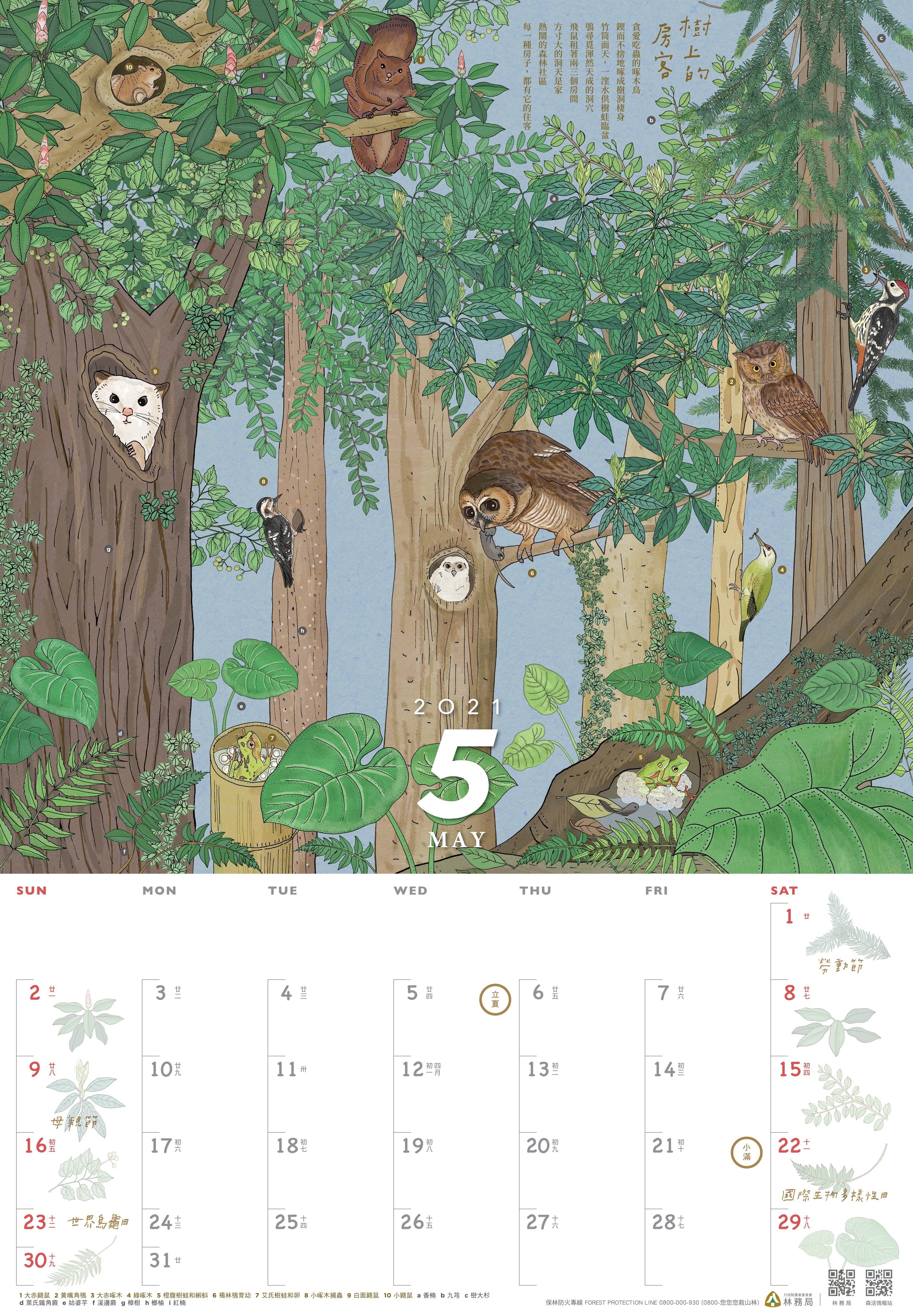 林務局-110年曆_5月