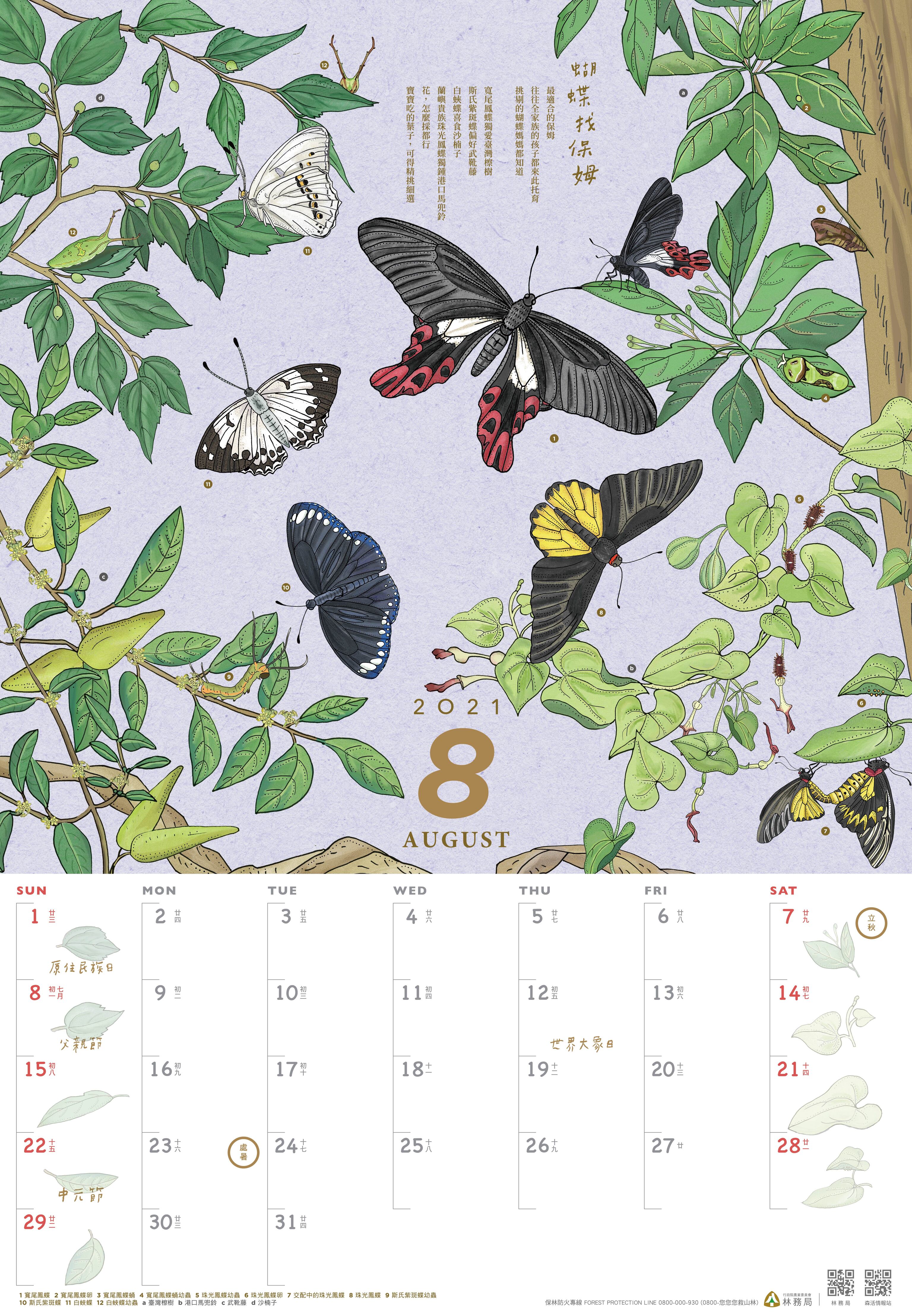 林務局-110年曆_8月
