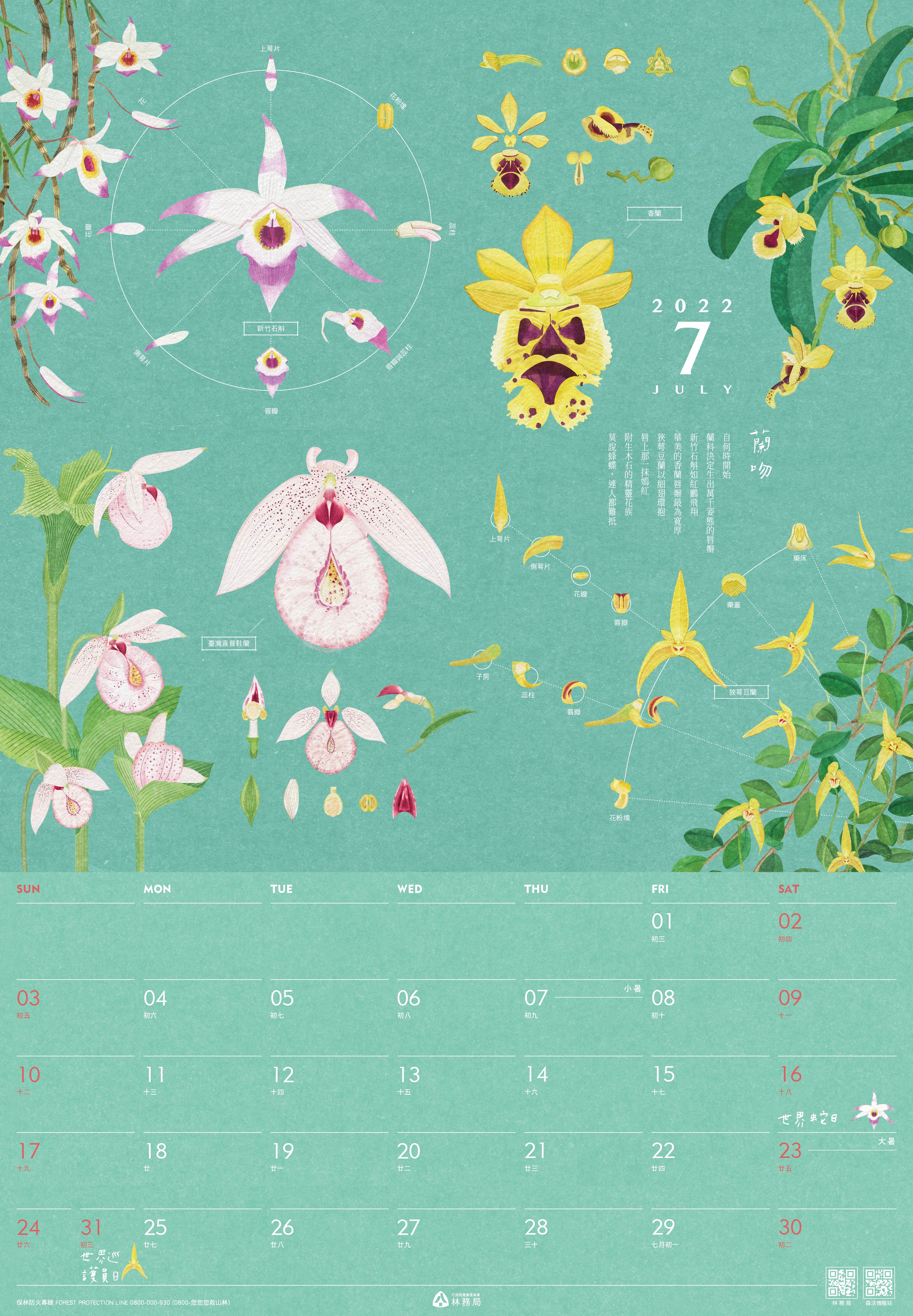 林務局-111年曆_7月