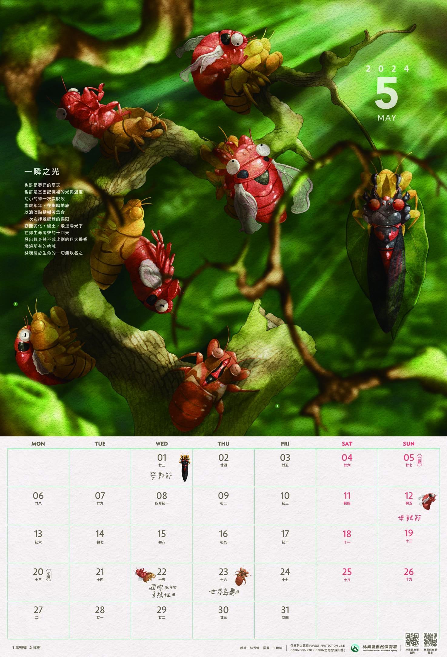 林業保育署-113年曆-5月
